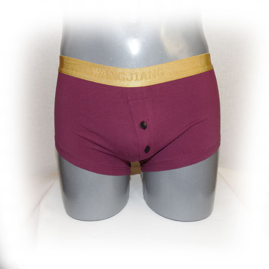 Boxer mit Goldrand