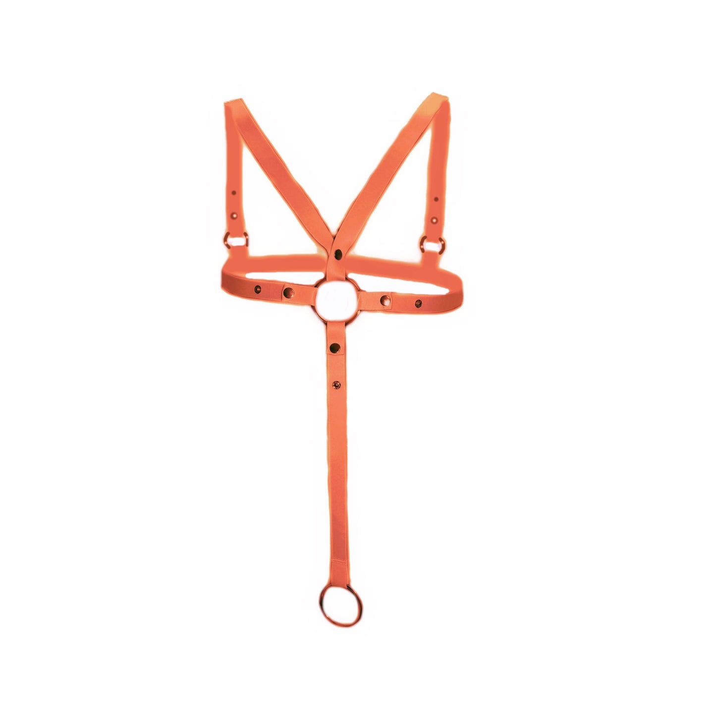 WJ - Ring-Body String