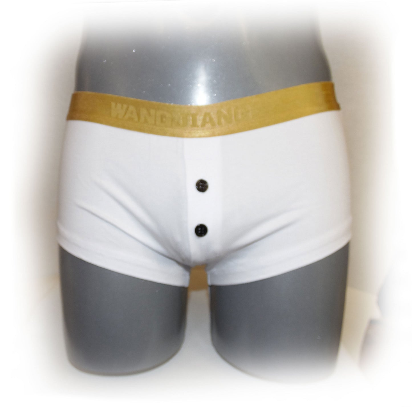 Boxer mit Goldrand