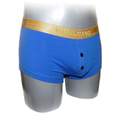 Boxer mit Goldrand