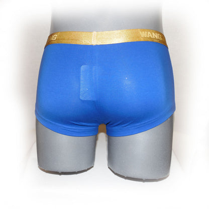 Boxer mit Goldrand