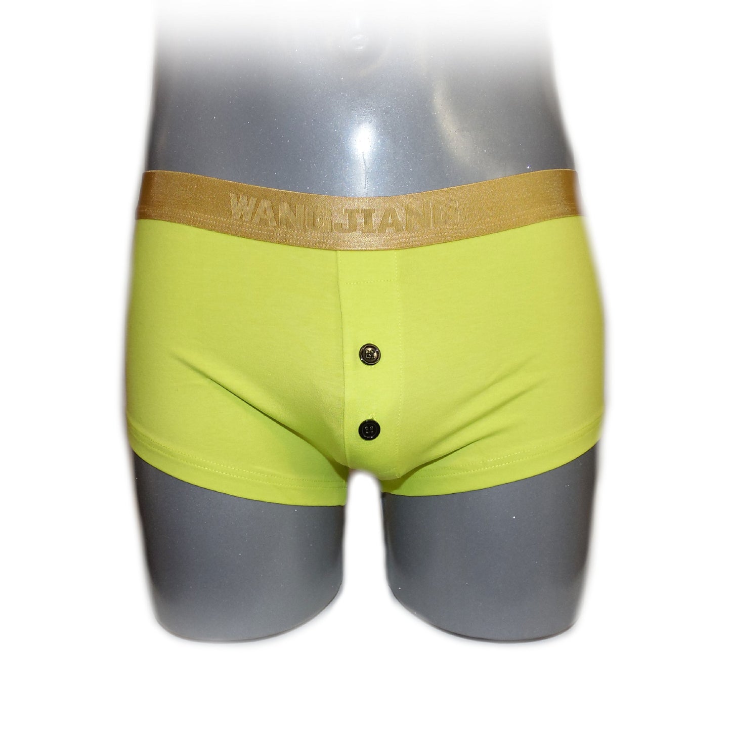 Boxer mit Goldrand