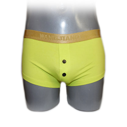 Boxer mit Goldrand