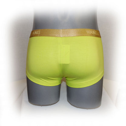 Boxer mit Goldrand