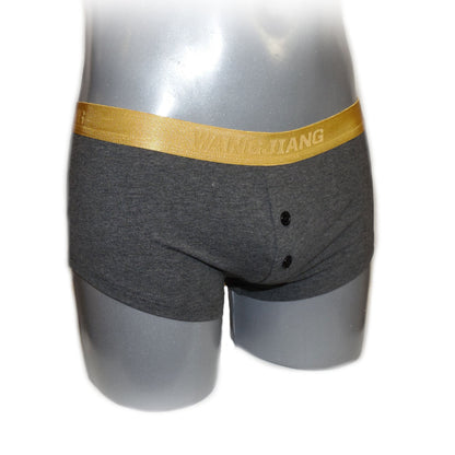 Boxer mit Goldrand