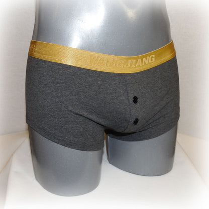 Boxer mit Goldrand