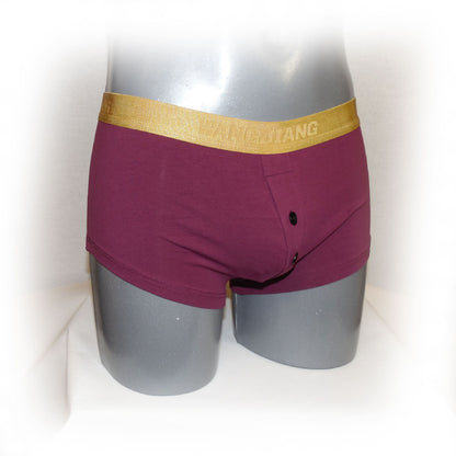 Boxer mit Goldrand