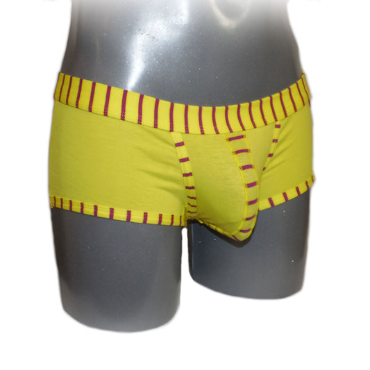 Boxer mit gestreiftem Rand