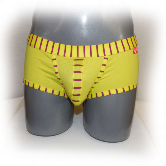 Boxer mit gestreiftem Rand