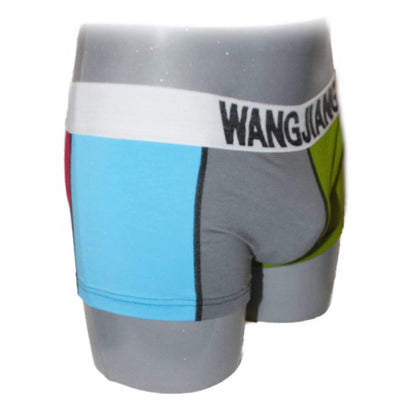 WJ - Boxershorts mehrfarbig