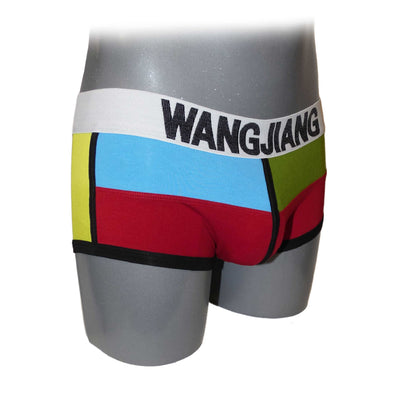 WJ - Boxershorts mehrfarbig