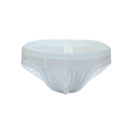 Slip mit Glanzstoff