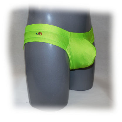 Slip mit Glanzstoff