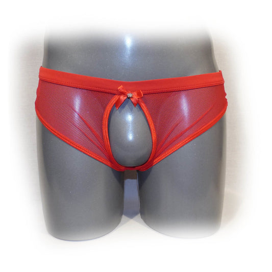 Red Netted Open Back Hipster Panty