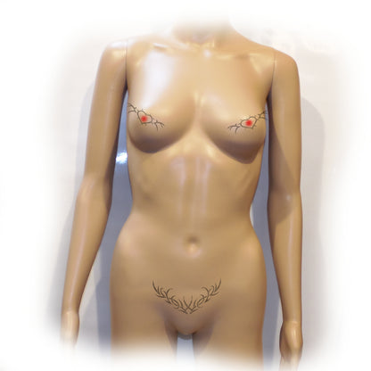 Nippelcover Aufkleber 3-er Set Brust und Schambein