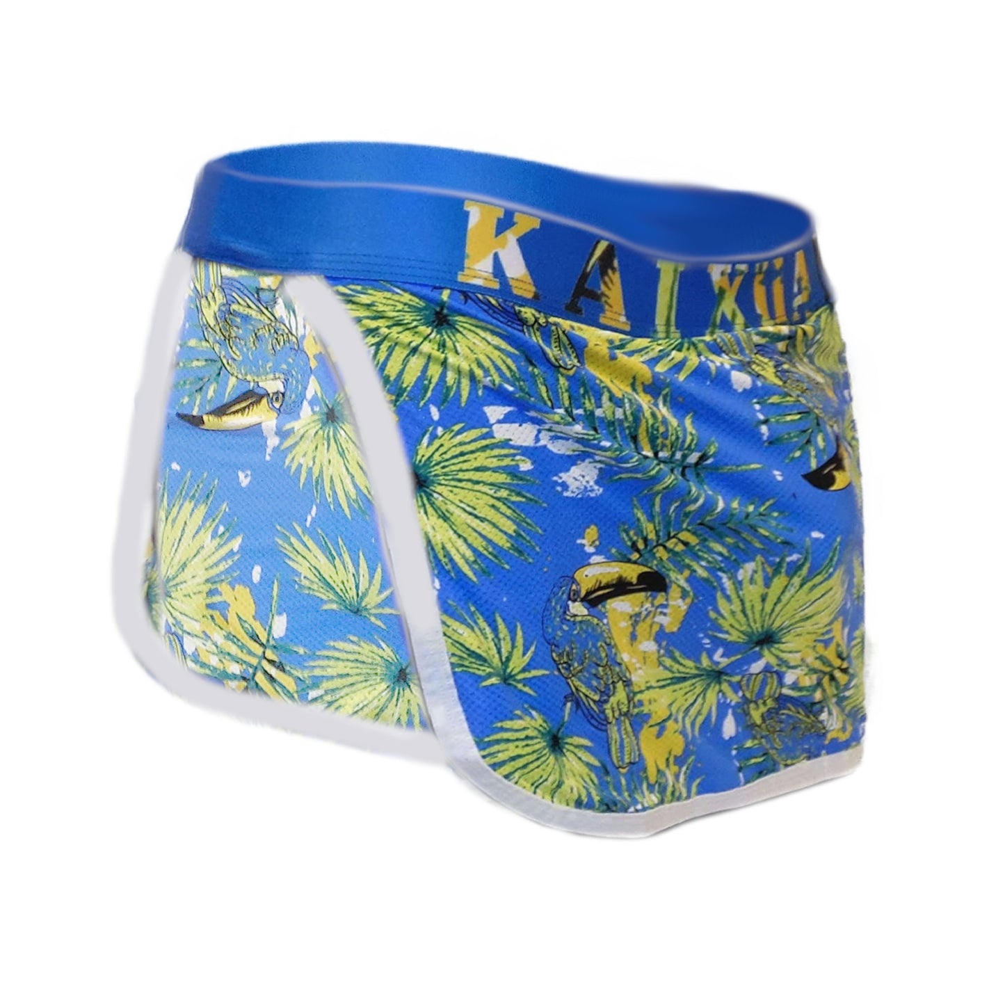 Loincloth with inner briefs