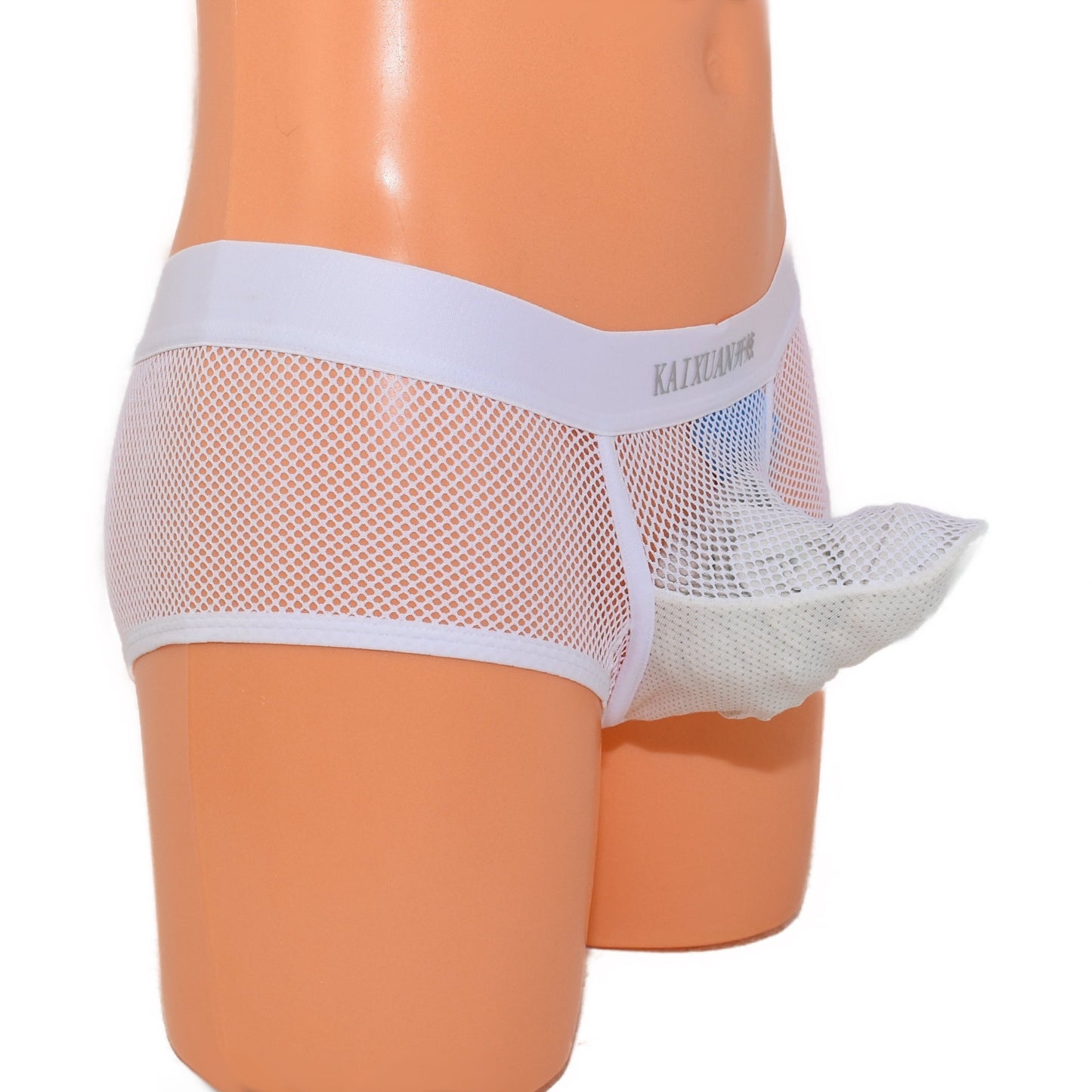 Trunk Boxer Elephant Boxer Extravagant Front Part