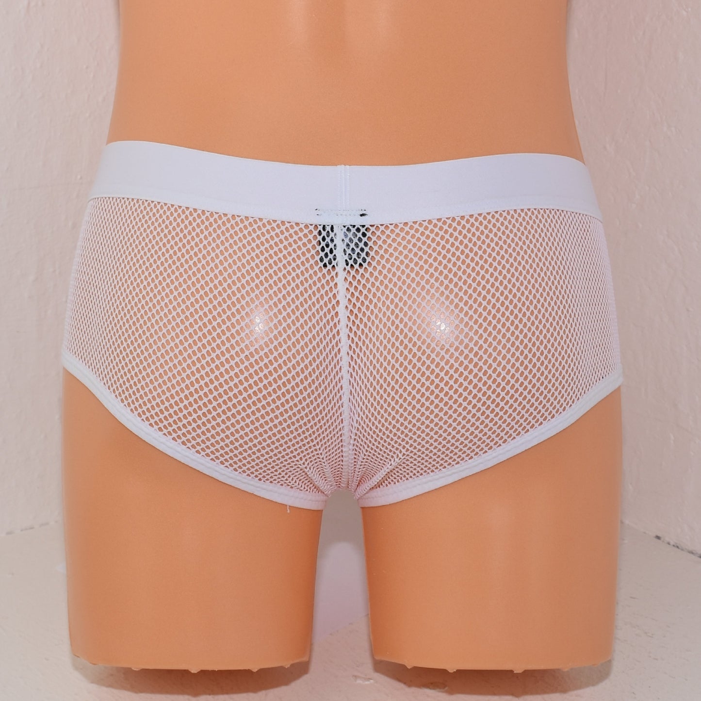 Trunk Boxer Elephant Boxer Extravagant Front Part