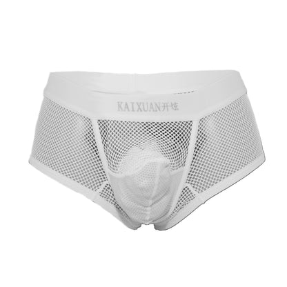 Trunk Boxer Elephant Boxer Extravagant Front Part