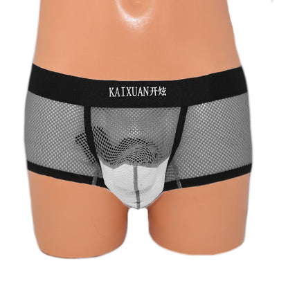 Rüsselboxer Elefant-Boxer extravagantes Frontteil