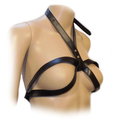 Large O-Ring Adjustable Collar-Breast Harness