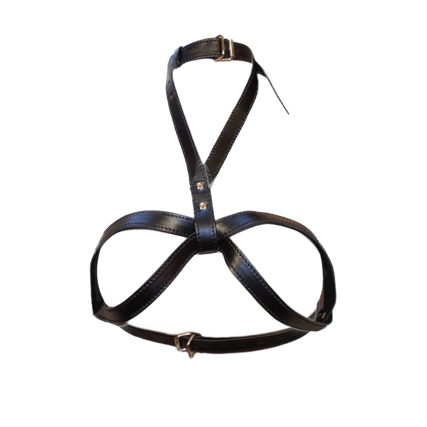 Large O-Ring Adjustable Collar-Breast Harness
