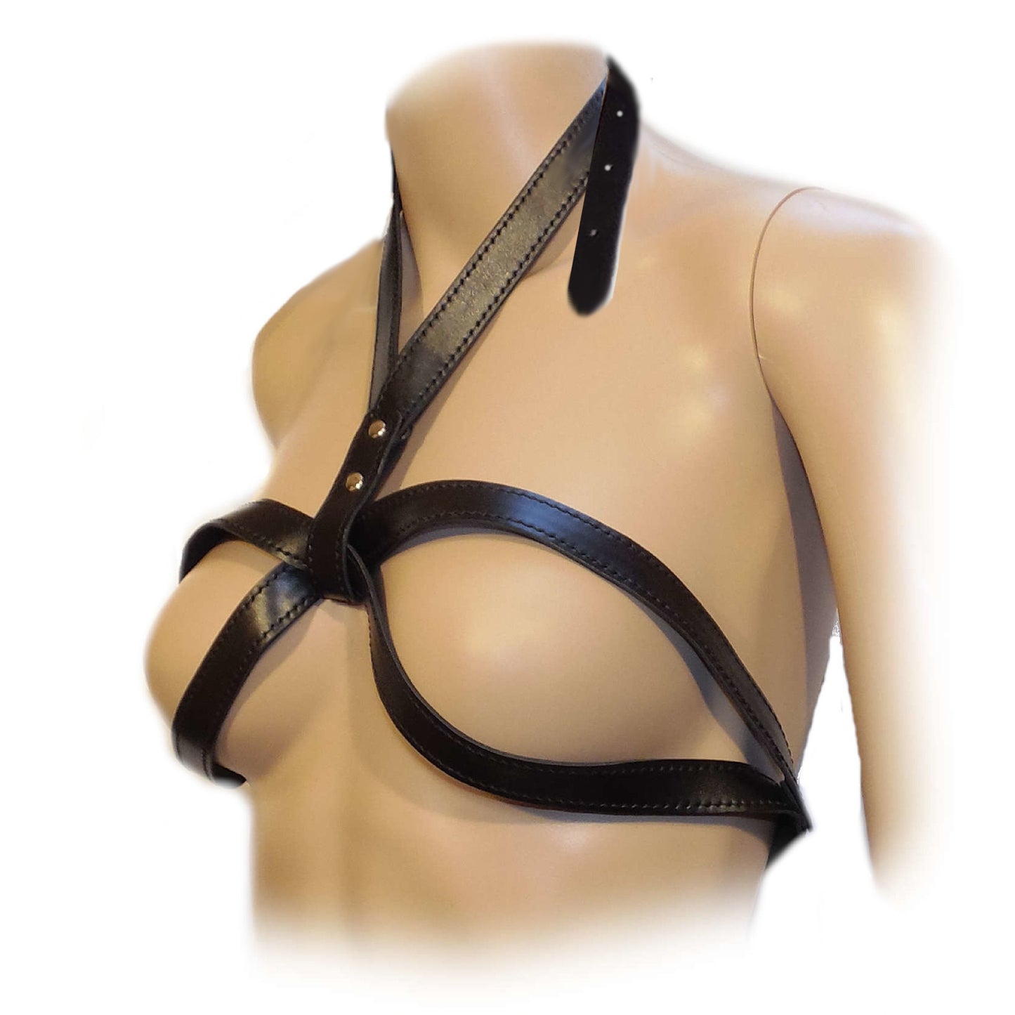 Large O-Ring Adjustable Collar-Breast Harness