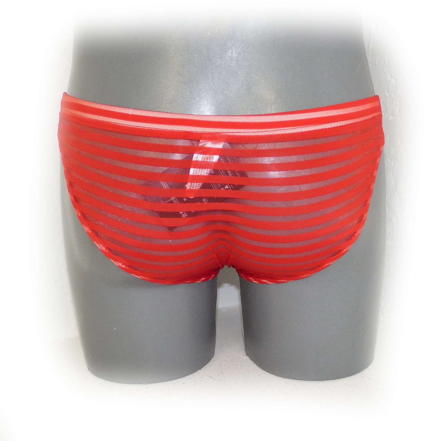 Transparent Briefs Men's Slip