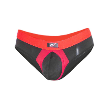 Briefs with extra room for the best part, slightly transparent