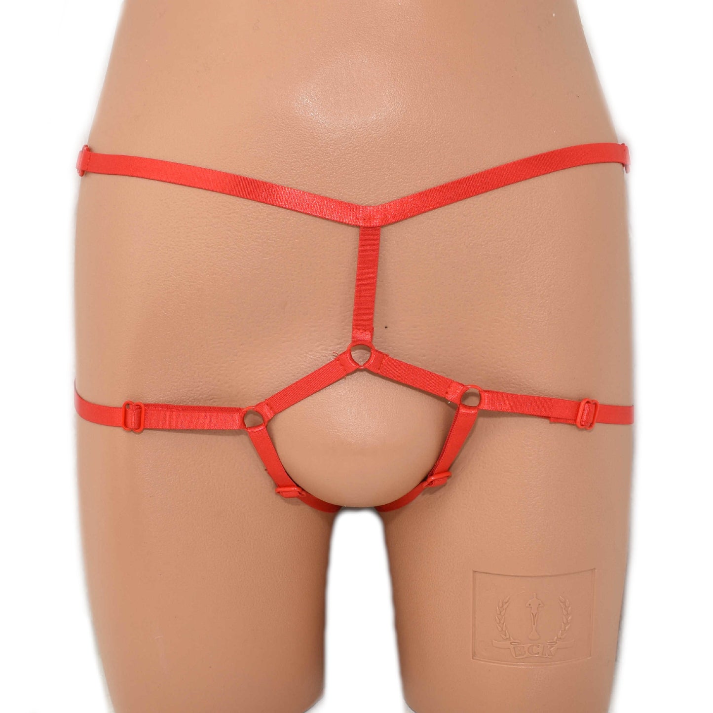 Lingerie String Panties open