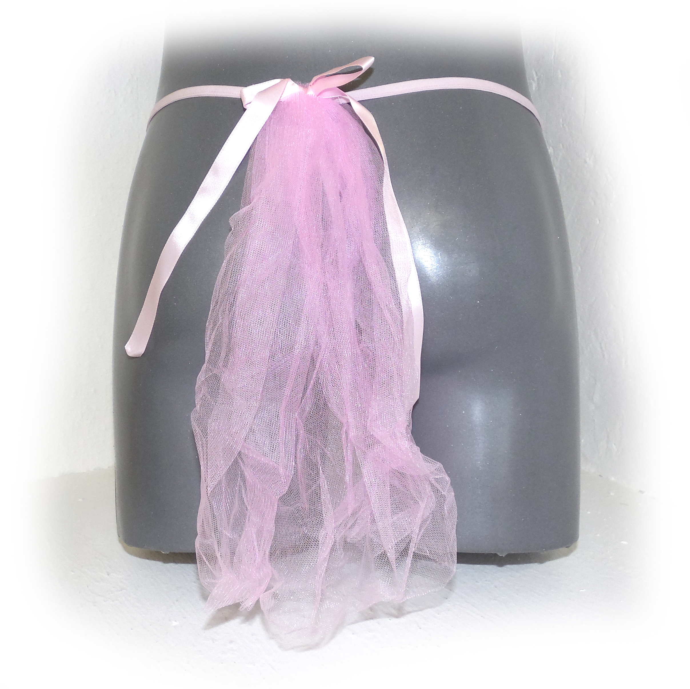 Lace Floral Low Rise Sissy Strings Pouch Veil with Satin