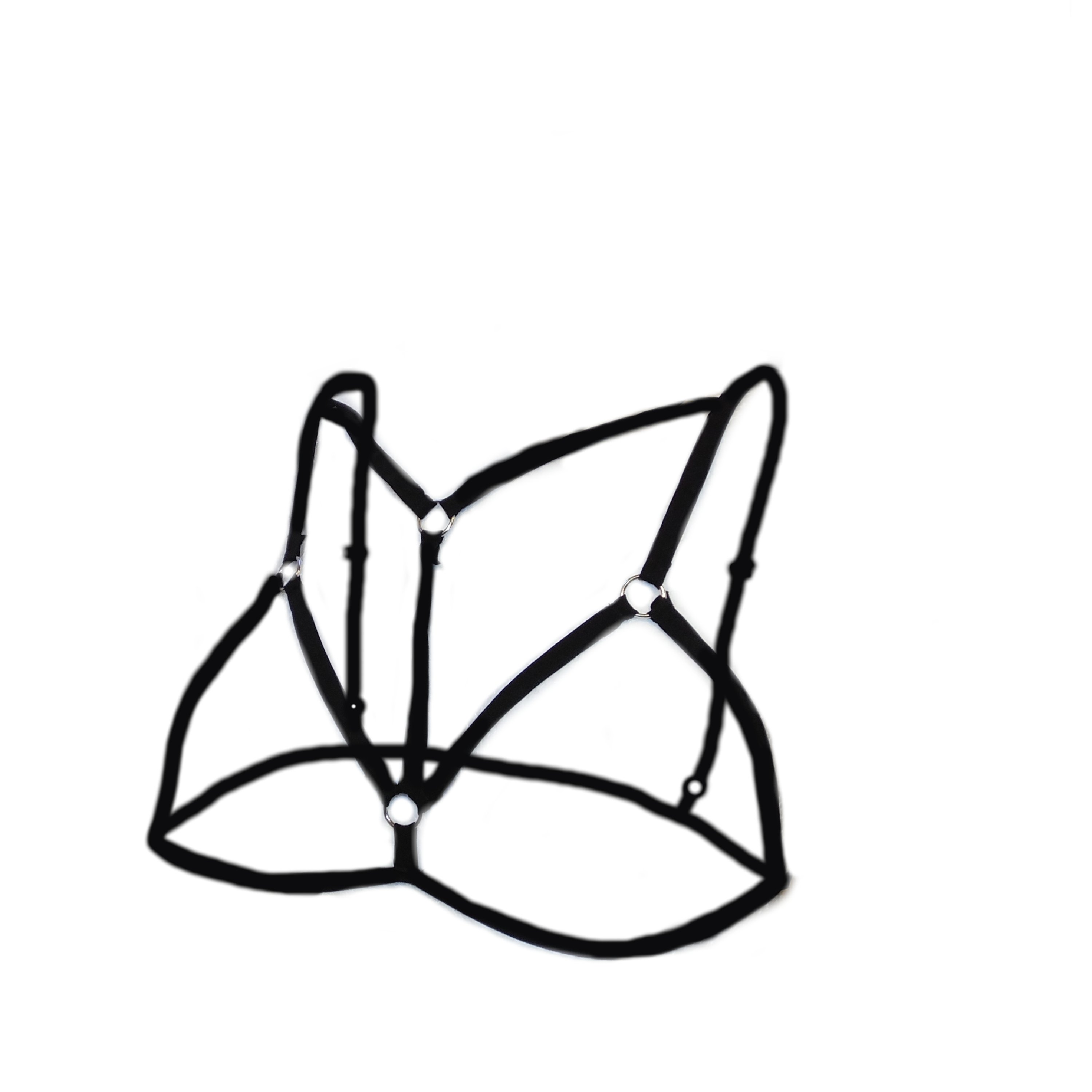 Bras Black Harness