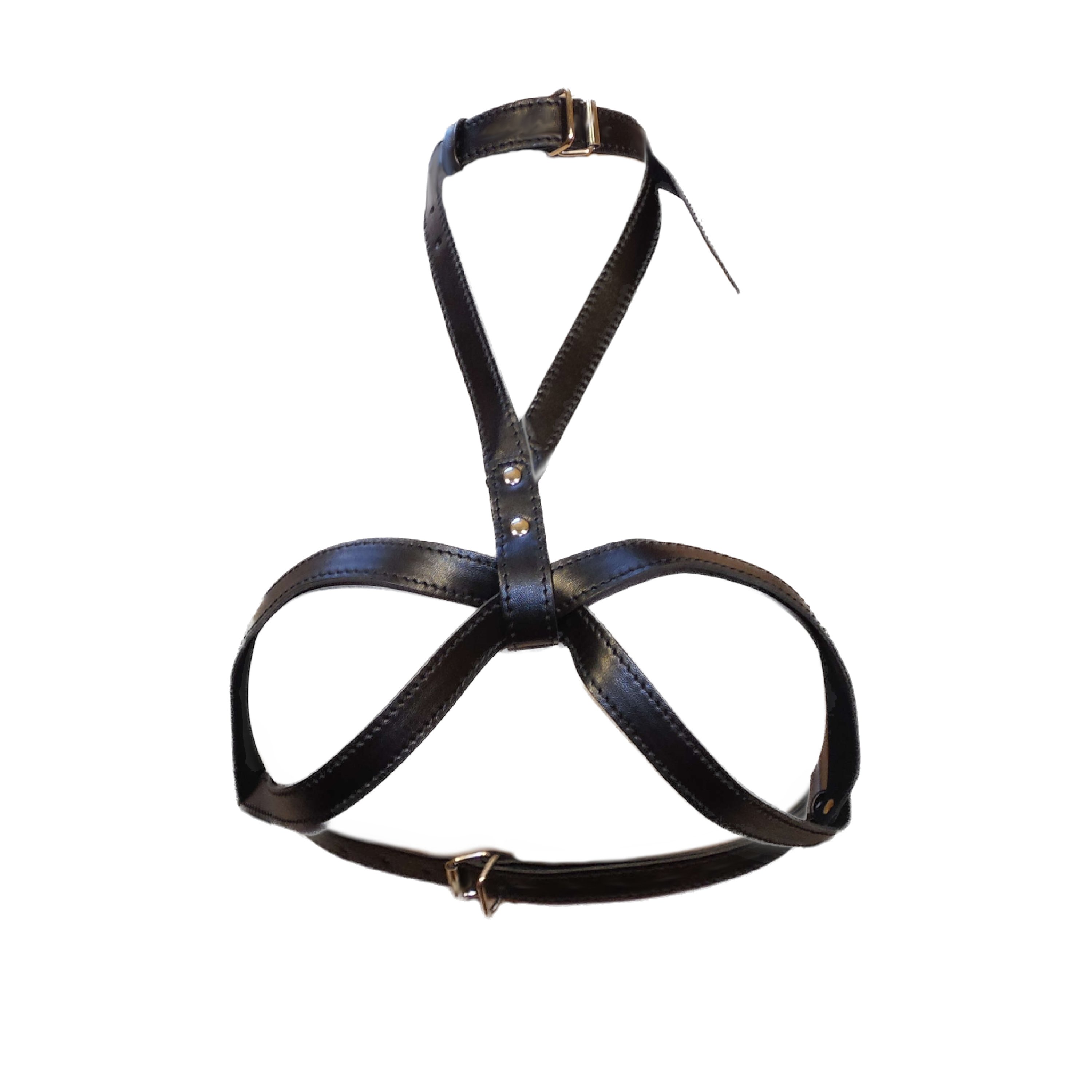 Large O-Ring Adjustable Collar-Breast Harness