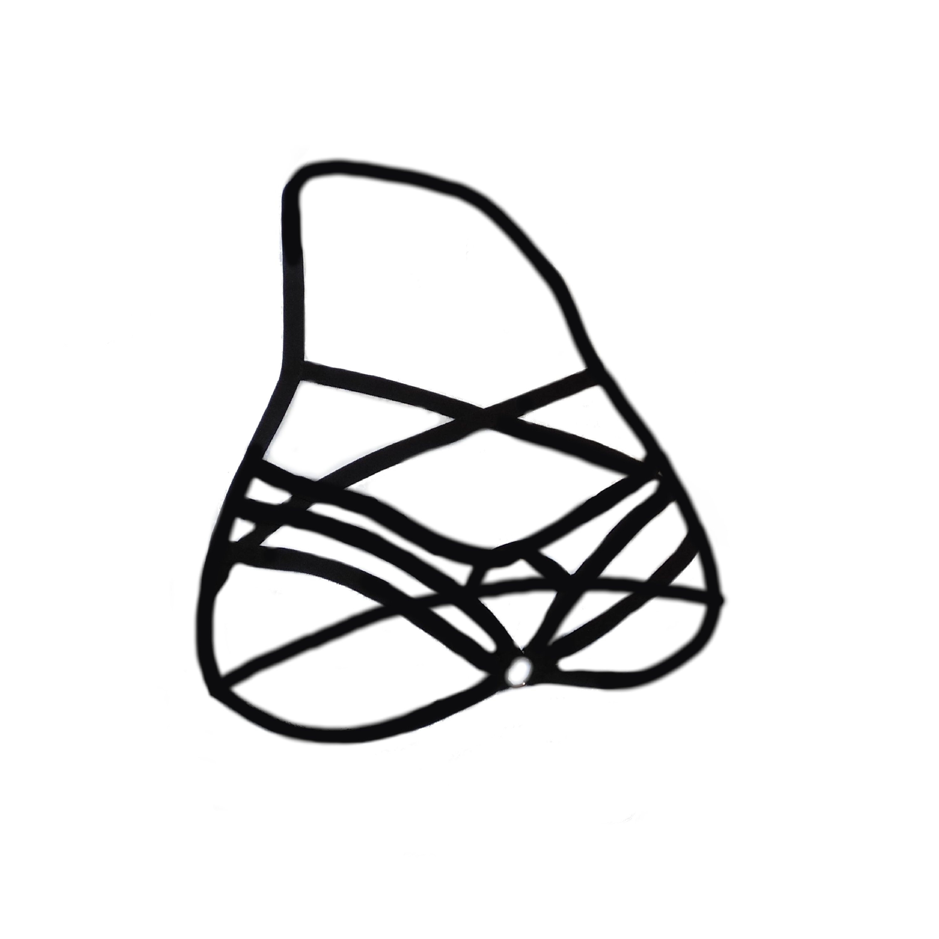 Bras Black Harness